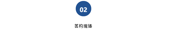 nr1.png